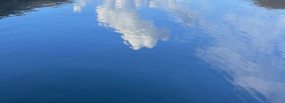 Octavian Cover Image