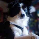 Ariel2 Profile Picture